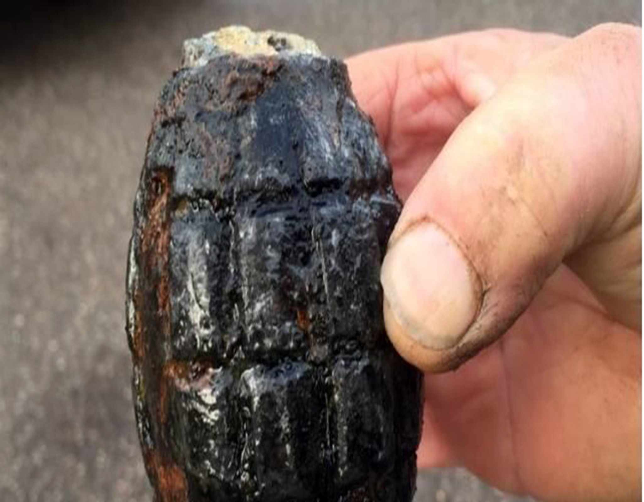 Balıkçıların Ağına El Bombası Takıldı
